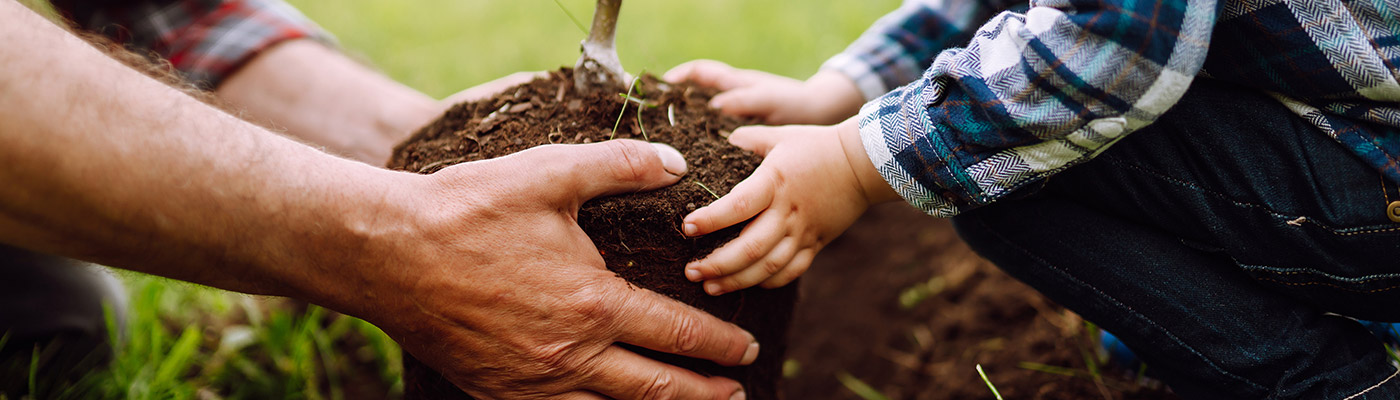 Man and a child's hands working the earth to plant something together.