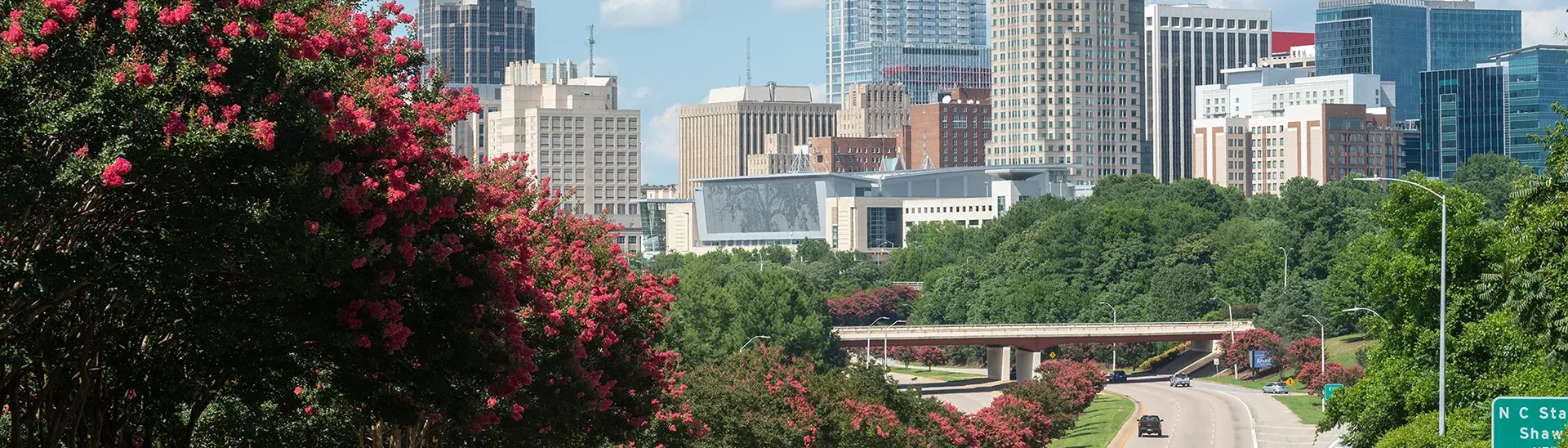 Vista del horizonte de Raleigh NC durante el día