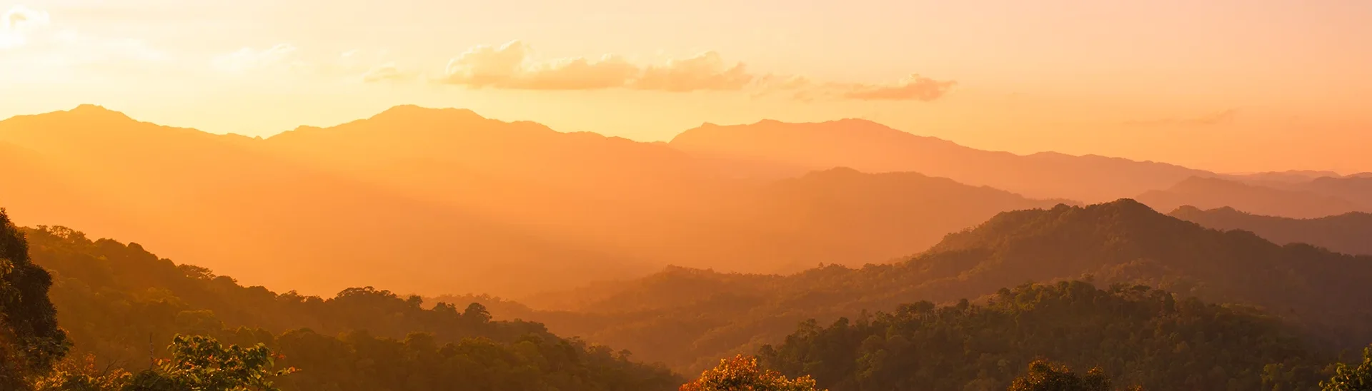 Una vista panorámica de montañas onduladas cubiertas de frondosos árboles verdes está bañada por la luz dorada de un atardecer o un amanecer. El cielo muestra un cálido degradado de tonos anaranjados y rosados, y los suaves rayos de luz se extienden por el paisaje, creando una atmósfera serena y apacible.