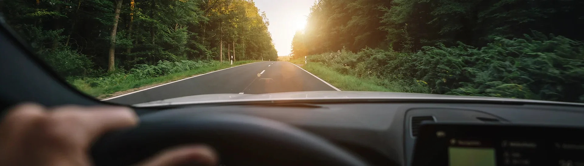 A person's left hand is on a steering wheel as the vehicle drives toward sunlight on a tree-lined road.